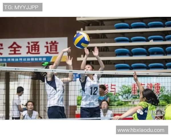 成都排球队的战术控制与技术分析探讨排球热点新视角